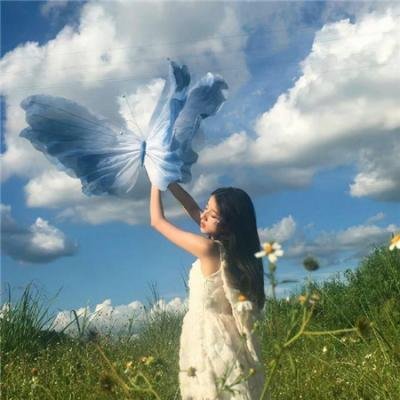 非洲孤狼